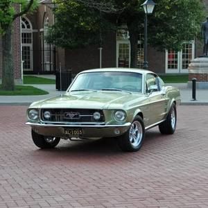 Meet your Posher, Bubba